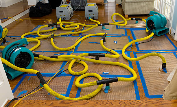 Professional Water Extraction technician working in Cedarburg, WI